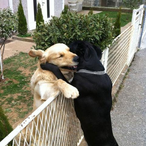 Happy National Hugging Day!