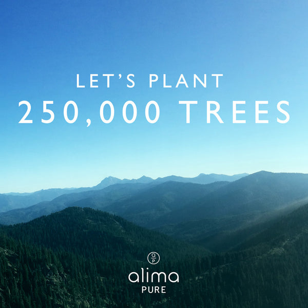 Let’s Plant a Forest Together